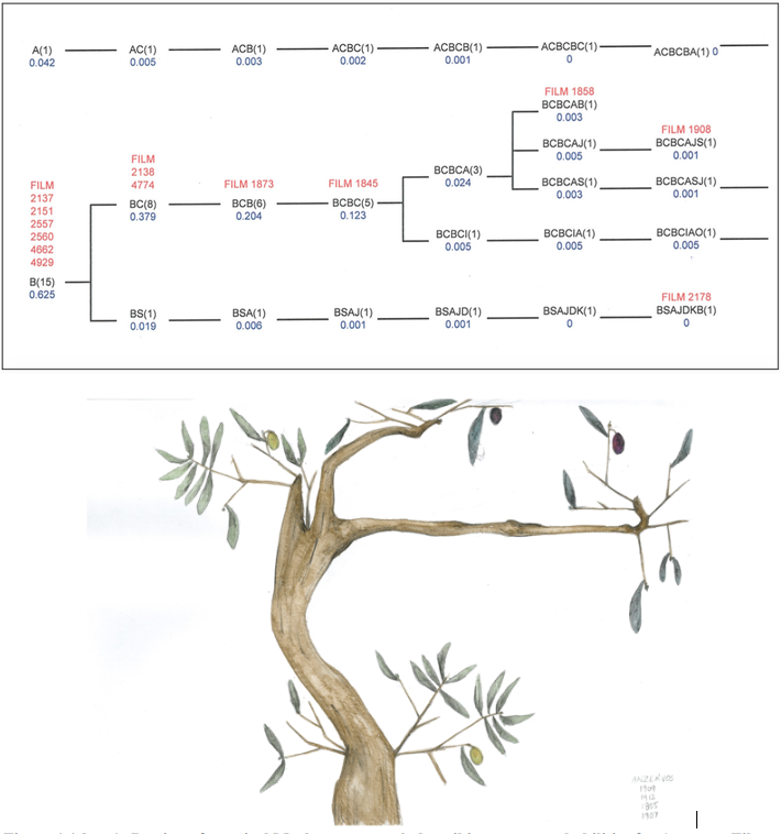 Verhoeven Fig 1-2